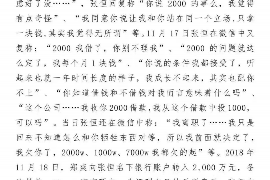 卢氏为什么选择专业追讨公司来处理您的债务纠纷？